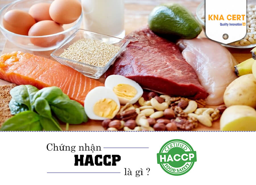 Giấy chứng nhận HACCP đảm bảo an toàn thực phẩm