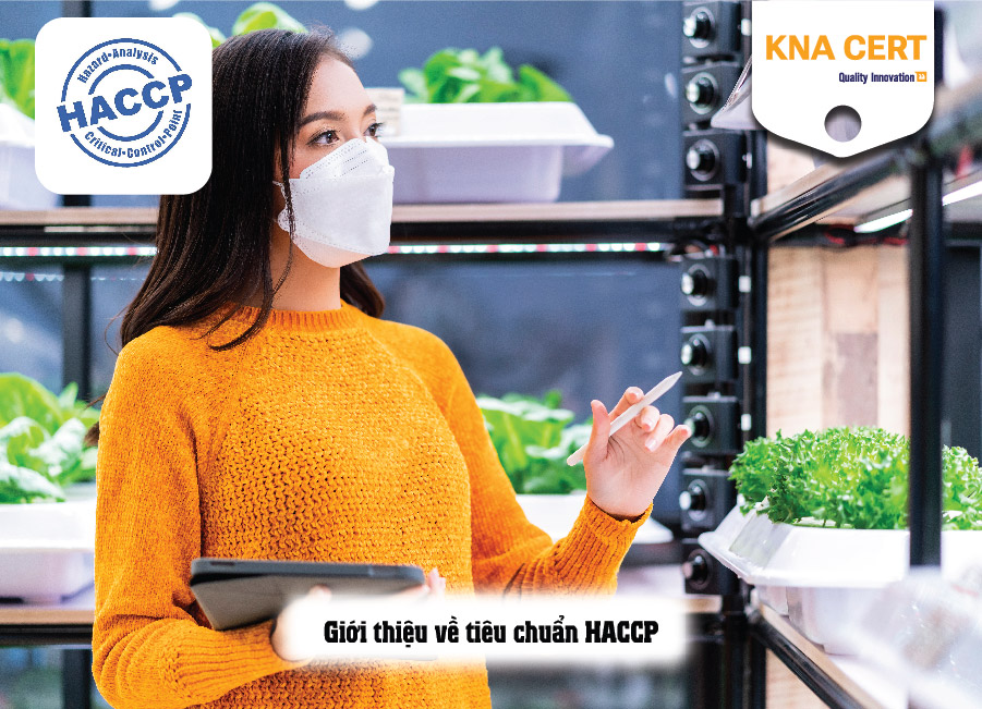 Mối liên quan giữa FSSC 22000 và ISO 22000 và HACCP